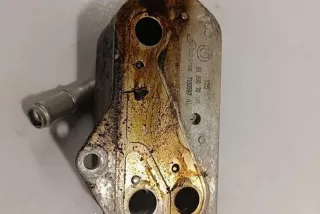 7525333, 7100597, 5989070201 , art12101353 Радиатор масляный BMW X5 F85 Арт 12101353, вид 1