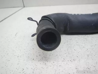1226138100 Toyota Шланг вентиляции картер. газов Lexus GX 2 restailing Арт E95561439, вид 4