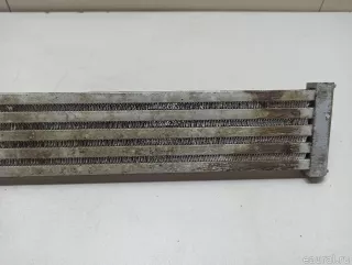 17217576825 BMW Радиатор гидроусилителя BMW 7 F01/F02 Арт E22565387, вид 7