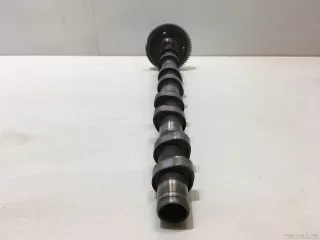 242002F010 Hyundai-Kia Распредвал Hyundai Santa FE 4 (TM) restailing Арт E22648792, вид 1