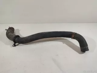 1827185 Ford Патрубок радиатора Ford B-Max Арт E23191121, вид 6