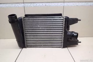 144613ZU0B Nissan Интеркулер Nissan Juke 2 Арт E95321735, вид 1