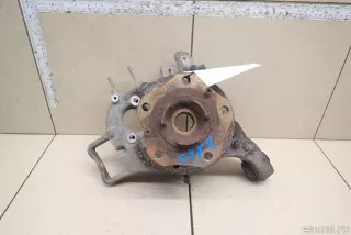 97033161102 VAG Кулак поворотный задний левый Porsche Panamera 970 Арт E95398310, вид 1