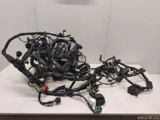 914303X032 Hyundai-Kia Проводка (коса) Hyundai Elantra MD Арт E23099277, вид 1