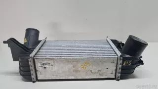 144611KC0B Nissan Интеркулер Nissan Juke 2 Арт E23315304, вид 5