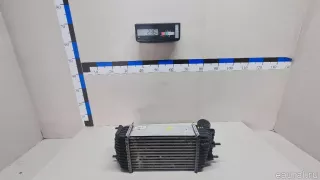 144611KC0B Nissan Интеркулер Nissan Juke 2 Арт E23315304, вид 9