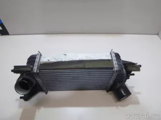 144611KC0A Nissan Интеркулер Nissan Juke 2 Арт E23353311, вид 8