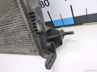 214100002R Renault Радиатор основной Renault Scenic 3 Арт E60556797, вид 4