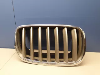 51137171396 Решетка радиатора правая BMW X6 E71/E72 Арт Z196368, вид 1