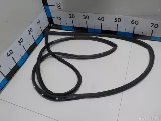 821301P000 Hyundai-Kia Уплотнитель двери Kia Venga Арт E51988911, вид 3