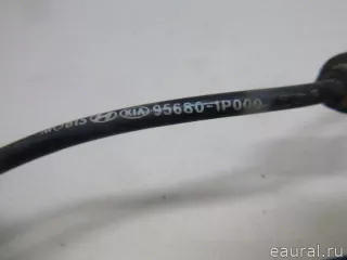 956801P000 Hyundai-Kia Датчик ABS передний правый Kia Venga Арт E22419907, вид 5