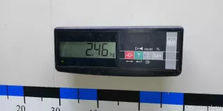 2463503541 Mercedes Benz Кулак поворотный задний левый Mercedes S W222 Арт E23140347, вид 13