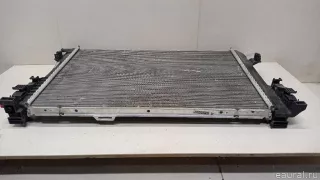 2465001303 Mercedes Benz Радиатор основной Mercedes S W222 Арт E23487354, вид 15