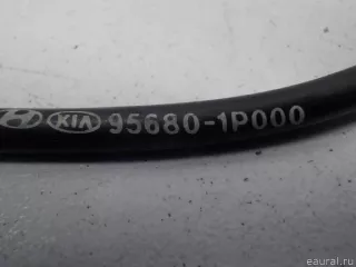 956801P000 Hyundai-Kia Датчик ABS передний правый Kia Venga Арт E40667074, вид 4