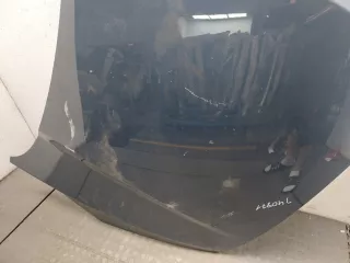 2567349,LV4BS16612AG Капот синий Ford Kuga 3 Арт 9012274, вид 5