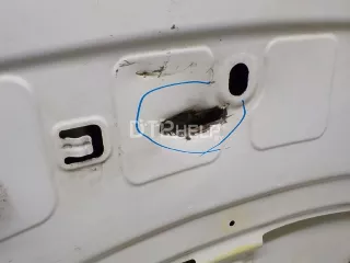 41617267337 Капот BMW X3 F25 Арт AM31566778, вид 10