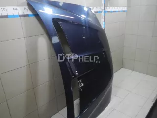41617121102 Капот BMW X5 E53 Арт AM100446930, вид 2