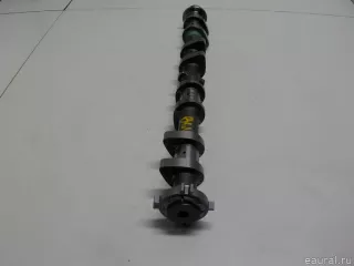 130204BB0C Nissan Распредвал выпускной Nissan Qashqai 2 restailing Арт E51407866, вид 12