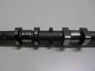 130204BB0C Nissan Распредвал выпускной Nissan Qashqai 2 restailing Арт E51407866, вид 5