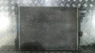 21400JD51B Радиатор системы охлаждения Nissan Qashqai 1  Арт PDN11KA02, вид 1