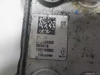 213052032R Renault Радиатор масляный Renault Kadjar Арт E52110309, вид 4
