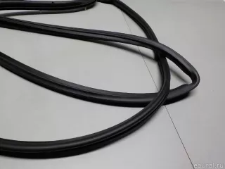 821302W000 Hyundai-Kia Уплотнитель двери Hyundai Santa FE 3 (DM) Арт E52254424, вид 3
