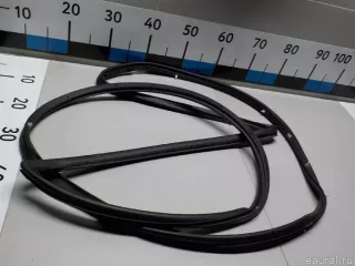 821302W000 Hyundai-Kia Уплотнитель двери Hyundai Santa FE 3 (DM) Арт E52254424, вид 5