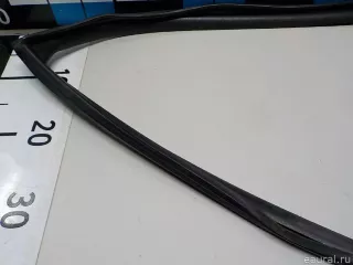 835312T001 Hyundai-Kia Уплотнитель стекла двери Kia Optima 3 Арт E52264729, вид 4