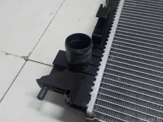 21410HV70A Nissan Радиатор основной Nissan Qashqai 2 restailing Арт E52277791, вид 9