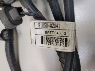 91850A2041 Hyundai-Kia Клемма аккумулятора плюс Kia Ceed 2 Арт E22555308, вид 6