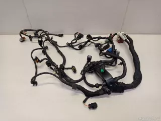12517631597 BMW Проводка (коса) MINI COUNTRYMAN R60 Арт E22917573, вид 1