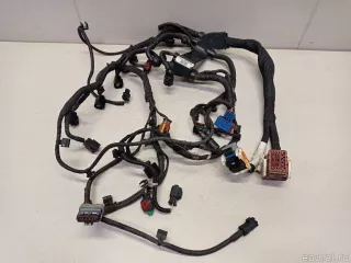 12517631597 BMW Проводка (коса) MINI COUNTRYMAN R60 Арт E22917573, вид 4