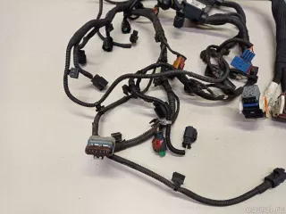 12517631597 BMW Проводка (коса) MINI COUNTRYMAN R60 Арт E22917573, вид 6