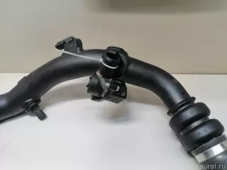 F1FZ6C646A Ford Патрубок интеркулера Ford Kuga 2 Арт E22952310, вид 4