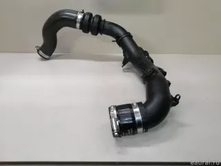 F1FZ6C646A Ford Патрубок интеркулера Ford Kuga 2 Арт E23296100, вид 4