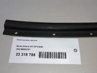 5E0823707 VAG Уплотнитель капота Skoda Octavia A8 Арт E23318785, вид 11