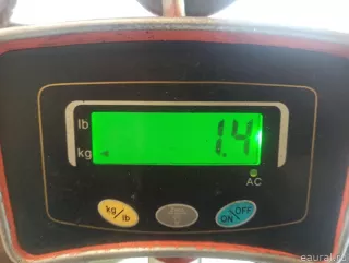 71800T0NT01 Honda Накладка на порог (наружная) Honda CR-V 4 Арт E23344249, вид 9
