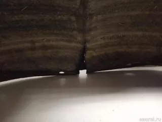 51717213650 BMW Локер задний правый BMW X3 F25 Арт E23514384, вид 2