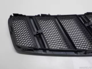 1668800105 Mercedes Benz Решетка в капот Mercedes S C217 Арт E103000604, вид 8
