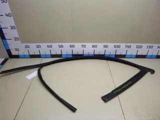 3G0837432H5AP VAG Уплотнитель стекла двери Volkswagen Passat B8 Арт E60498504, вид 1