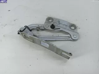 2518800228 Петля капота правая Mercedes R W251 Арт 54783343, вид 1