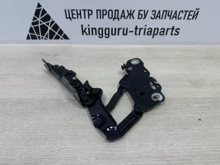 41617475791 Петля капота BMW X3 G01 Арт TP92125, вид 1