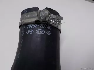 282522B740 Hyundai-Kia Патрубок интеркулера Kia Sportage 4 Арт E51894436, вид 7