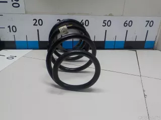 54630F1HG0 Hyundai-Kia Пружина передняя Kia Sportage 4 Арт E52029538, вид 5