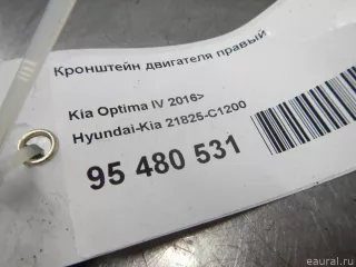 21825C1200 Hyundai-Kia Кронштейн двигателя правый Kia Optima 4 Арт E95480531, вид 7