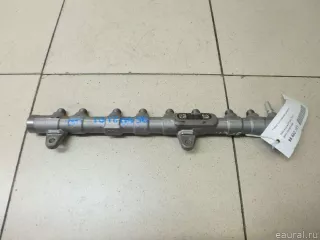 13538571569 BMW Топливная рампа  BMW X3 G01 Арт E95602101, вид 1