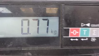 92403D4600 Hyundai-Kia Фонарь задний внутренний левый Kia Optima 4 Арт E95632518, вид 8