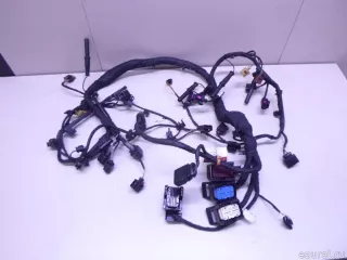 059971595BK VAG Проводка (коса) Audi Q7 4M restailing Арт E22747499, вид 9