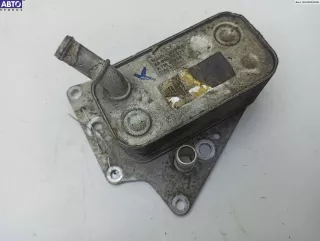 5689040231 Теплообменник Opel Astra H Арт 54777121, вид 1