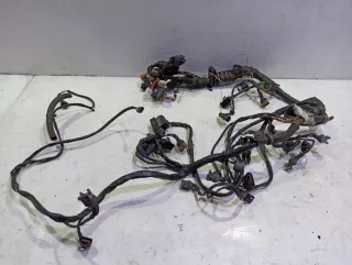 8D1971074KG Проводка (коса) Audi A6 C5 (S6,RS6) Арт 5468199